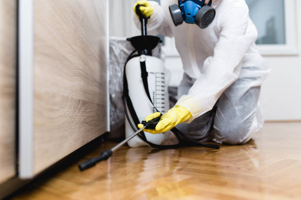 Best Local Pest Control Services  in Grundy, VA