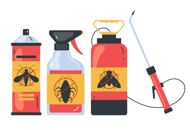 Reliable Grundy, VA Pest Control Solutions